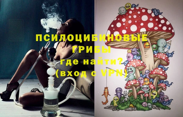 PSILOCYBIN Володарск